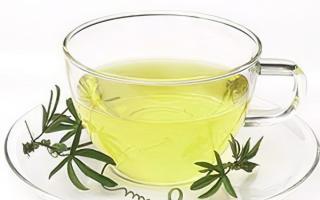 Зеленый чай: польза и вред для здоровья, противопоказания и возможные побочные реакции Чем вреден зеленый чай для организма